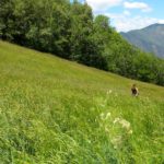 Clarobscur d'Anna Rubio (Poesia als Parcs)