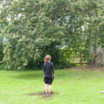 Without the tree. Anna Rubio